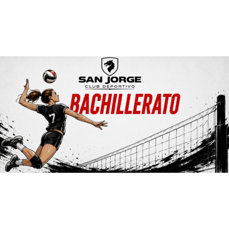 VOLEIBOL (BACHILLERATO)