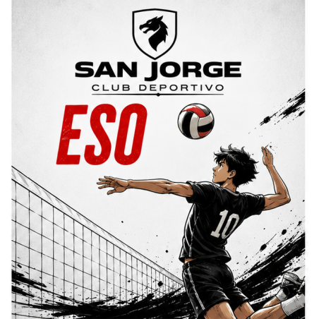 VOLEIBOL (SECUNDARIA)