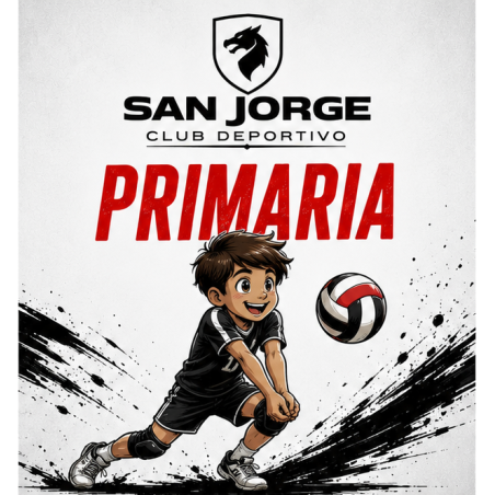 VOLEIBOL (PRIMARIA)